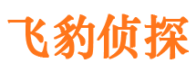 九龙侦探调查公司